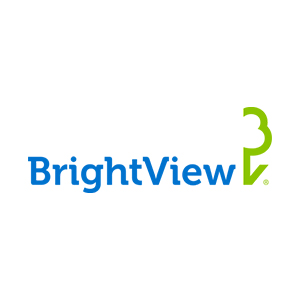 Bright View Logo